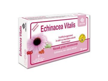 Echinacea Vitalis *30cpr - Pret | Preturi Echinacea Vitalis *30cpr