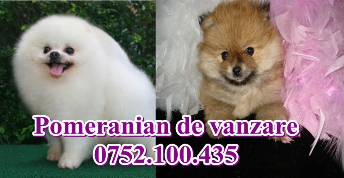  - Pret | Preturi 