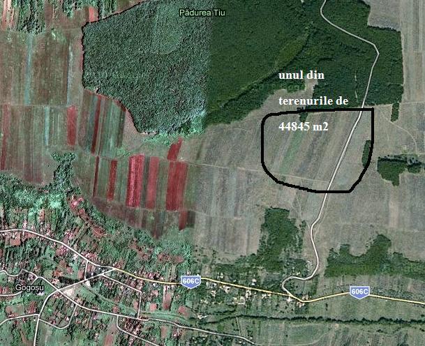 Teren agricol in Localitatea Gogosu,Judetul Dolj,44845 m2 - Pret | Preturi Teren agricol in Localitatea Gogosu,Judetul Dolj,44845 m2