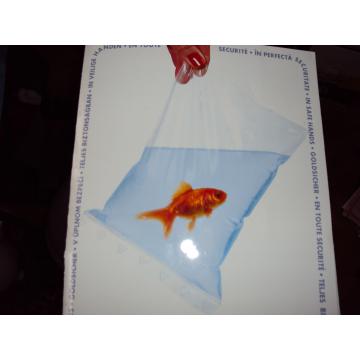 Pungi ziplock 350x450 - Pret | Preturi Pungi ziplock 350x450