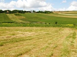 teren intravilan de inchiriat Zalau - Pret | Preturi teren intravilan de inchiriat Zalau