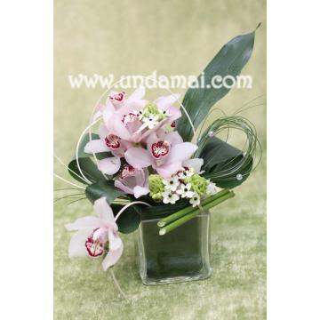 Aranjament floral orhidee cimbidium si ornitogalum - Pret | Preturi Aranjament floral orhidee cimbidium si ornitogalum