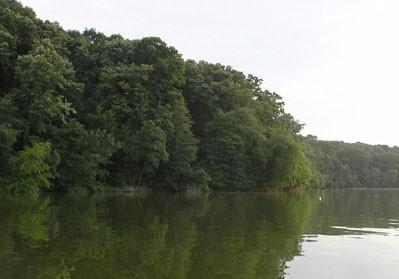 Teren Branesti Lac - Pret | Preturi Teren Branesti Lac