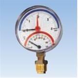 Termomanometru TIRM-ABS, racord radial Watts - Pret | Preturi Termomanometru TIRM-ABS, racord radial Watts