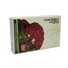 Ganoderma Lucidum (3 in 1) - Pret | Preturi Ganoderma Lucidum (3 in 1)