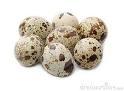 Vind oua de prepelita - Pret | Preturi Vind oua de prepelita