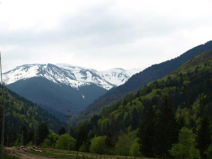 Teren breaza fagaras - Pret | Preturi Teren breaza fagaras