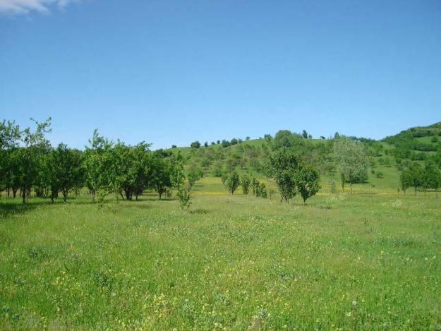Teren Izvoarele Prahova - Pret | Preturi Teren Izvoarele Prahova