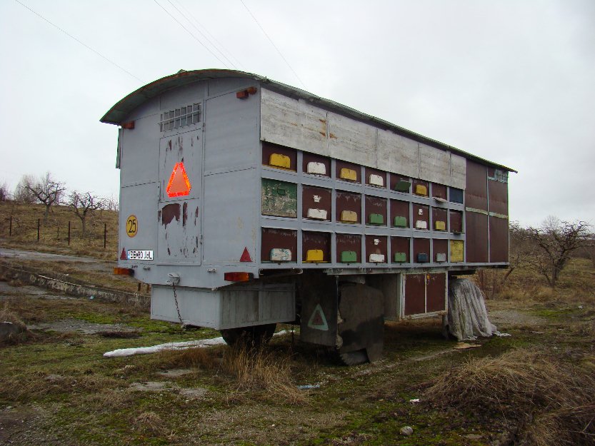 Vînd pavilion apicol cu 50 cuti stupi fără albine. - Pret | Preturi Vînd pavilion apicol cu 50 cuti stupi fără albine.