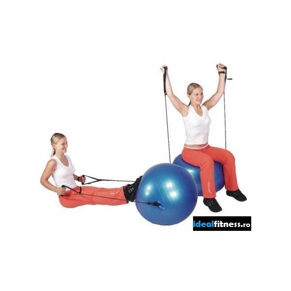 MINGE AEROBIC 55 CM CU CORZI ELASTICE - Pret | Preturi MINGE AEROBIC 55 CM CU CORZI ELASTICE