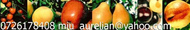  - Pret | Preturi 