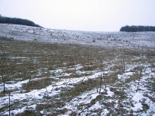 Vand Teren Targu Mures - Pret | Preturi Vand Teren Targu Mures