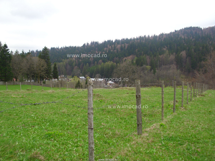 Teren de vanzare Sinaia - Pret | Preturi Teren de vanzare Sinaia