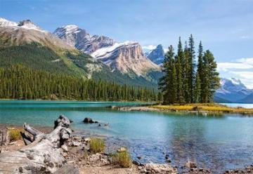 Puzzle Castorland 1000 Maligne Lake, Jasper National Park, Canad - Pret | Preturi Puzzle Castorland 1000 Maligne Lake, Jasper National Park, Canad