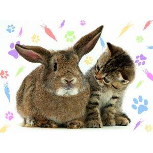 - Pret | Preturi   - Pret | Preturi