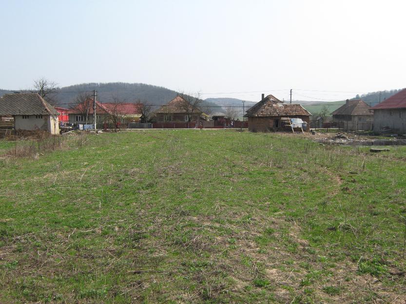 vand teren in comuna romanasi - Pret | Preturi vand teren in comuna romanasi