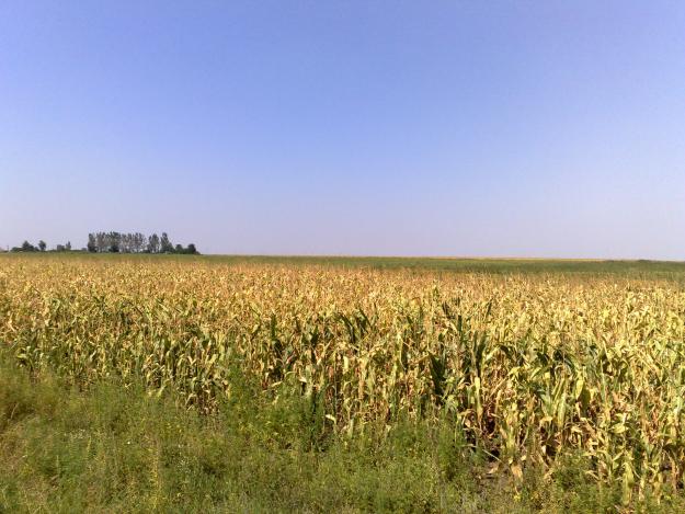 Teren de vanzare agricol si forestie in toata Romania - Pret | Preturi Teren de vanzare agricol si forestie in toata Romania