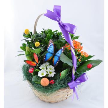 Aranjament floral in cos cu flori in ghiveci - Pret | Preturi Aranjament floral in cos cu flori in ghiveci