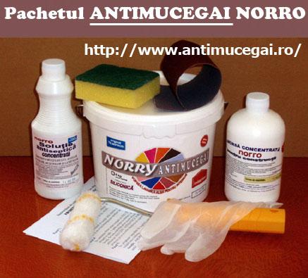 Antimucegai pachet pt. reparatii - solutii antimucegai, egrasie, igrasie - Pret | Preturi Antimucegai pachet pt. reparatii - solutii antimucegai, egrasie, igrasie