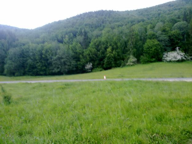 Vand teren pe DN1A Brasov (Bradet-Babarunca) - Pret | Preturi Vand teren pe DN1A Brasov (Bradet-Babarunca)