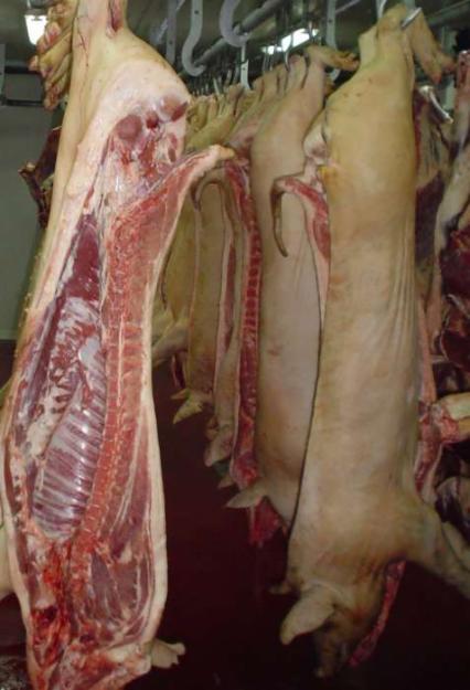 Carcasa de porc refrigerata - Pret | Preturi Carcasa de porc refrigerata