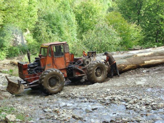 Vand padure de fag, 330 hectare, jud Gorj - Pret | Preturi Vand padure de fag, 330 hectare, jud Gorj