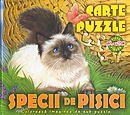 Specii de pisici - Carte Puzzle - Pret | Preturi Specii de pisici - Carte Puzzle
