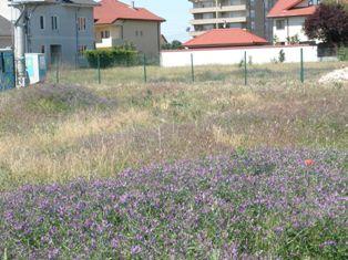 Teren Pipera 1200mp(La fourmi-Vartejului) - Pret | Preturi Teren Pipera 1200mp(La fourmi-Vartejului)