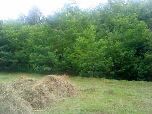 Teren pt. evadare in natura - Pret | Preturi Teren pt. evadare in natura