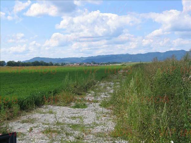 Teren Brasov-Bod la asfalt - Pret | Preturi Teren Brasov-Bod la asfalt