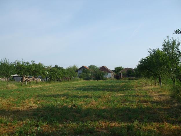 Vand casa taraneasca cu teren de 2200mp in Miersig, 20km de la Oradea - Pret | Preturi Vand casa taraneasca cu teren de 2200mp in Miersig, 20km de la Oradea