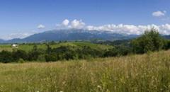 Vand teren zona Bran Moeciu, satul Pestera, judetul Brasov - Pret | Preturi Vand teren zona Bran Moeciu, satul Pestera, judetul Brasov