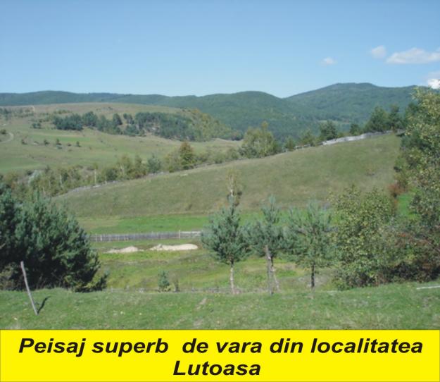 VAND CASA VECHE CU TEREN 1000 Mp LA NUMAI 65 Km DE CENTRUL BRASOVULUI la 9500 E - Pret | Preturi VAND CASA VECHE CU TEREN 1000 Mp LA NUMAI 65 Km DE CENTRUL BRASOVULUI la 9500 E