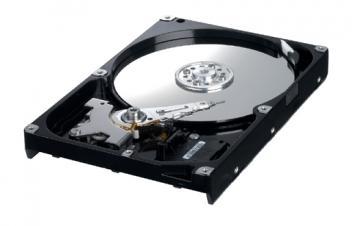 Hard Disk Samsung 80GB SATA 7200RPM 8MB - Pret | Preturi Hard Disk Samsung 80GB SATA 7200RPM 8MB
