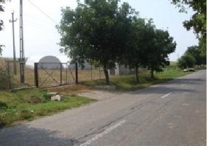 Ciupercarie + ferma pui sat Horlesti judetul Iasi - Pret | Preturi Ciupercarie + ferma pui sat Horlesti judetul Iasi