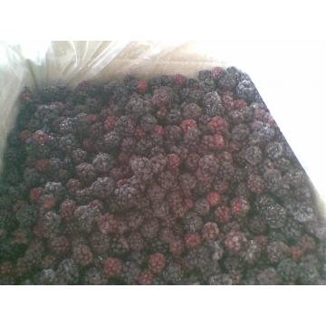 Mure: Rubus fructicosus - Pret | Preturi Mure: Rubus fructicosus