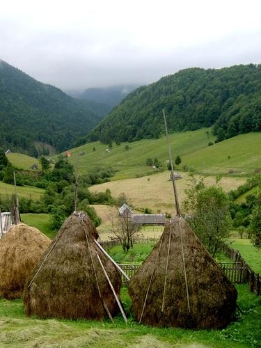 teren in zona turistica deosebita culoarul Rucar- Bran - Pret | Preturi teren in zona turistica deosebita culoarul Rucar- Bran