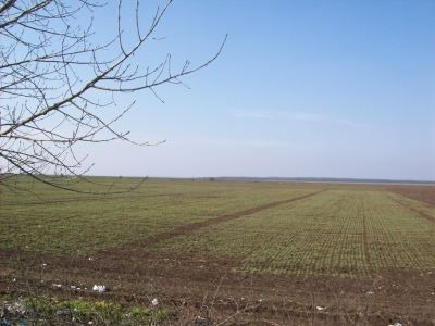 Braila teren agricol de vanzare 23 ha /4400 euro/ha - Pret | Preturi Braila teren agricol de vanzare 23 ha /4400 euro/ha