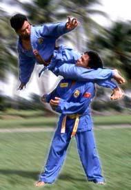 Vovinam Viet Vo Dao - Arte Martiale Vietnameze - Pret | Preturi Vovinam Viet Vo Dao - Arte Martiale Vietnameze