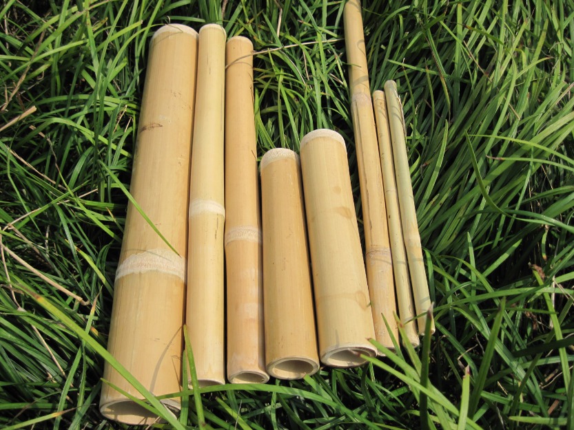 Set profesional complet (8 bete bambus) pentru masaj - Pret | Preturi Set profesional complet (8 bete bambus) pentru masaj