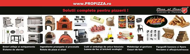 Necesar pizza - Pret | Preturi Necesar pizza