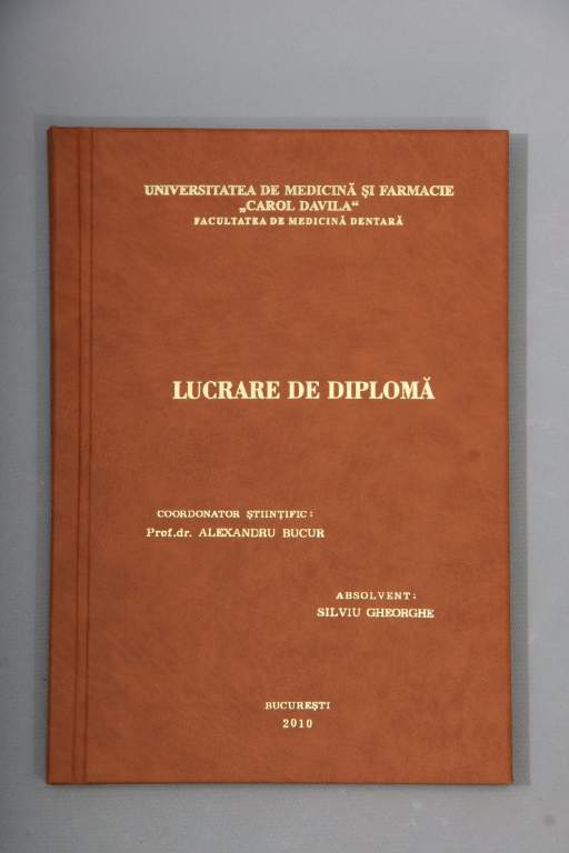 Ai nevoie de o lucrare la comanda? - Pret | Preturi Ai nevoie de o lucrare la comanda?