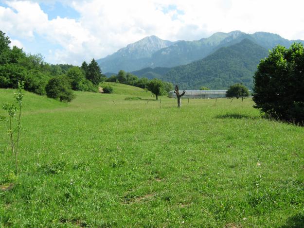 Vand teren Rasnov Glajerie - Pret | Preturi Vand teren Rasnov Glajerie