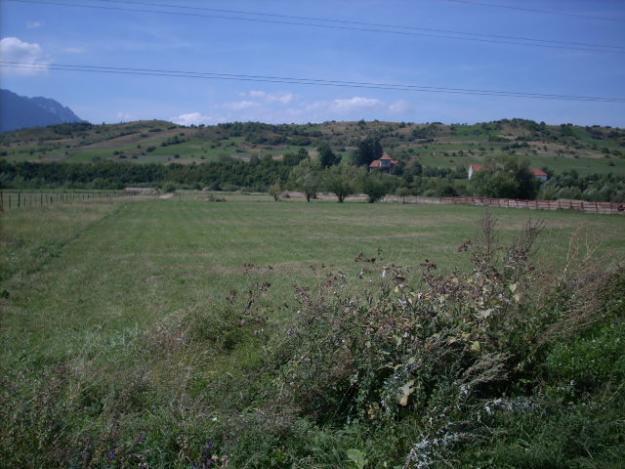 Vand teren intravilan in zona Bran-Tohanul Nou - Pret | Preturi Vand teren intravilan in zona Bran-Tohanul Nou