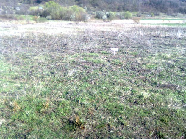 Vand 1 ha teren agricol stradal in Malureni - Arges. - Pret | Preturi Vand 1 ha teren agricol stradal in Malureni - Arges.