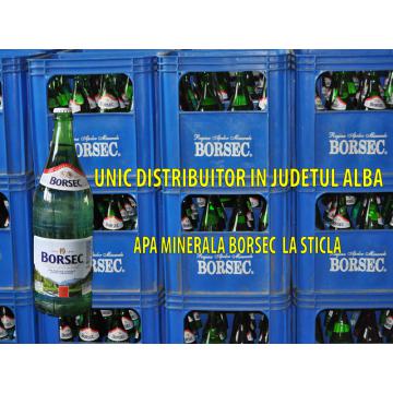 Apa minerala Borsec - Pret | Preturi Apa minerala Borsec