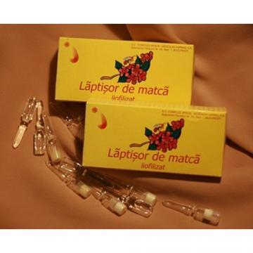 Laptisor de Matca Liofilizat 10 fiole - Pret | Preturi Laptisor de Matca Liofilizat 10 fiole