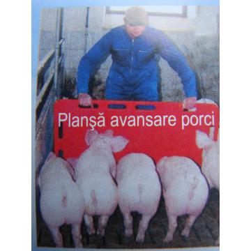 Plansa de orientare pentru porci - Pret | Preturi Plansa de orientare pentru porci