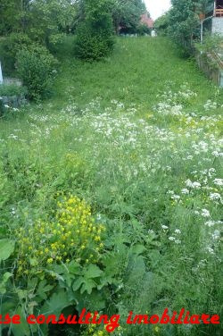 de vanzare teren intravilan in busteni - Pret | Preturi de vanzare teren intravilan in busteni