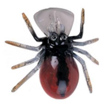 Vobler River2Sea Paianjen Spider Crank SC10 - Rosu Negru (6,0 gr., 3,5 cm) - Pret | Preturi Vobler River2Sea Paianjen Spider Crank SC10 - Rosu Negru (6,0 gr., 3,5 cm)
